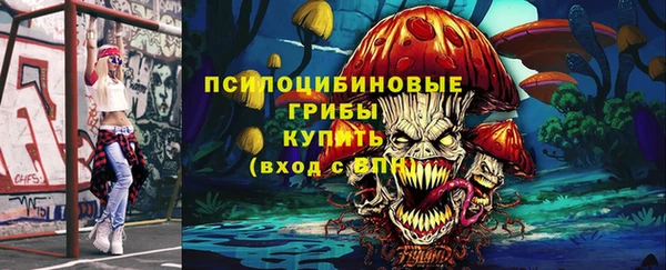 молекула духа Володарск